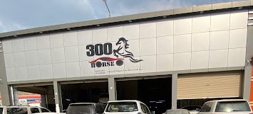 مركز 300 حصان